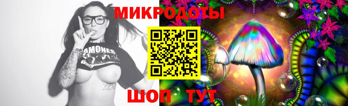 Псилоцибиновые грибы мицелий Псков